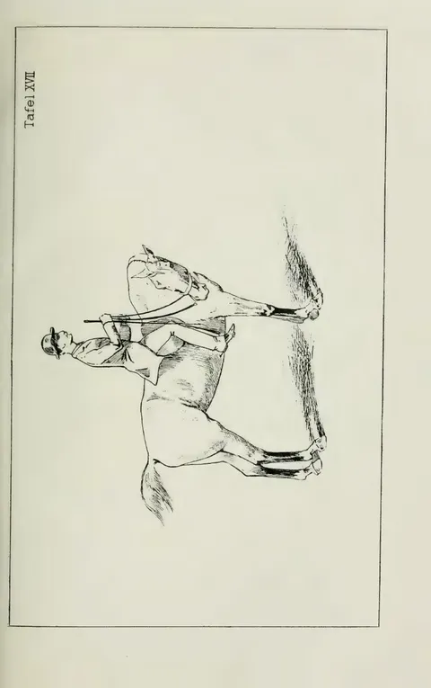 Tafel XVII