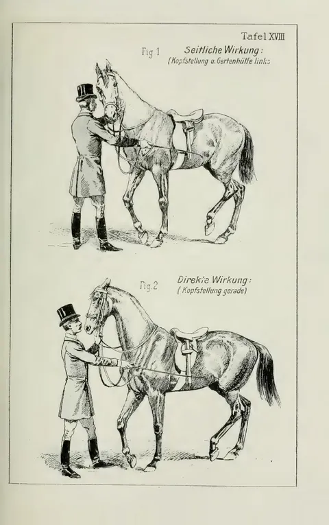 Tafel XVIII Fig. 1. Seitliche Wirkung: (Kopfstellung u. Gertenhülfe links) Fig. 2. Direkte Wirkung: (Kopfstellung gerade)