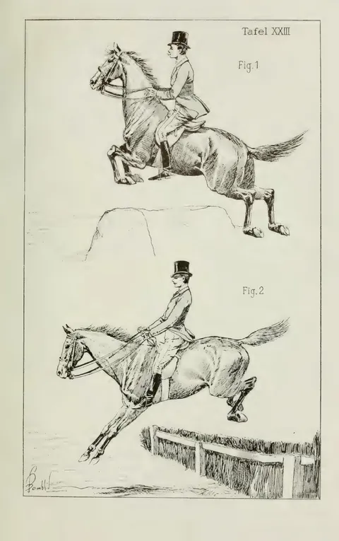 Tafel XXIII Fig. 1 Fig. 2