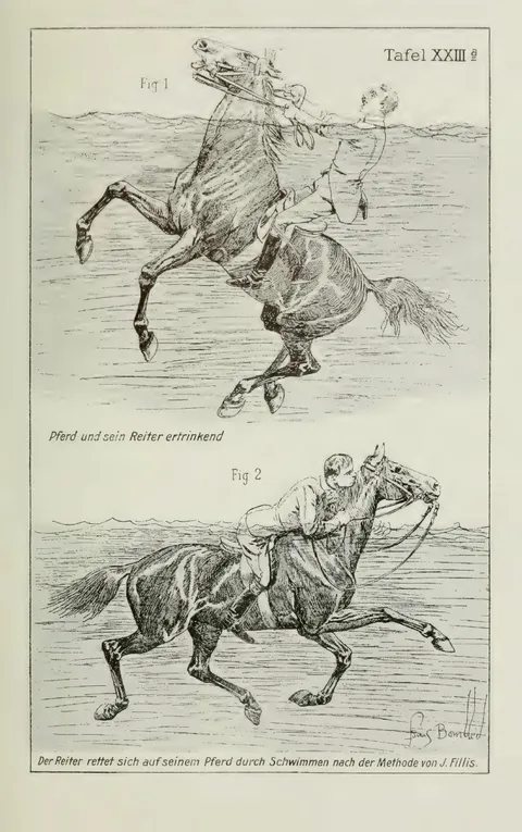 Tafel XXIIIa. Pferd und sein Reiter ertrinkend Der Reiter rettet sich auf seinem Pferd durch Schwimmen nach der Methode von J. Fillis.