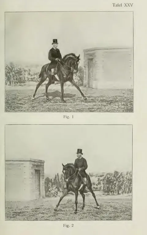 Tafel XXV Fig. 1 Fig. 2