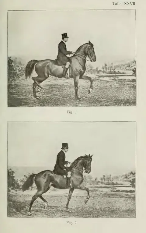 Tafel XXVII Fig. 1 Fig. 2