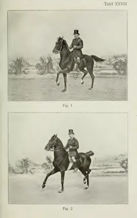 Tafel XXVIII Fig. 1 Fig. 2