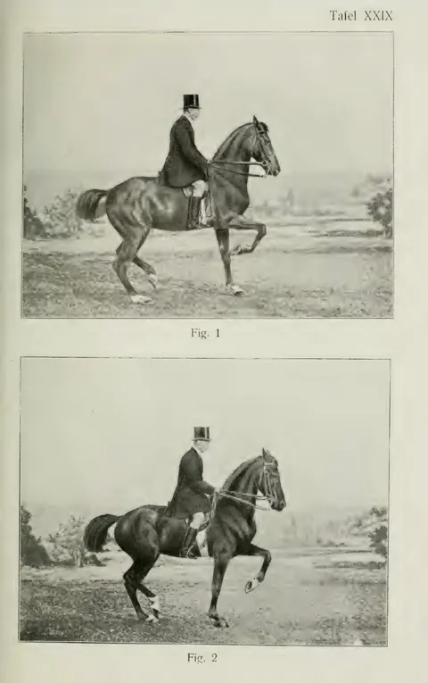 Tafel XXIX Fig. 1 Fig. 2