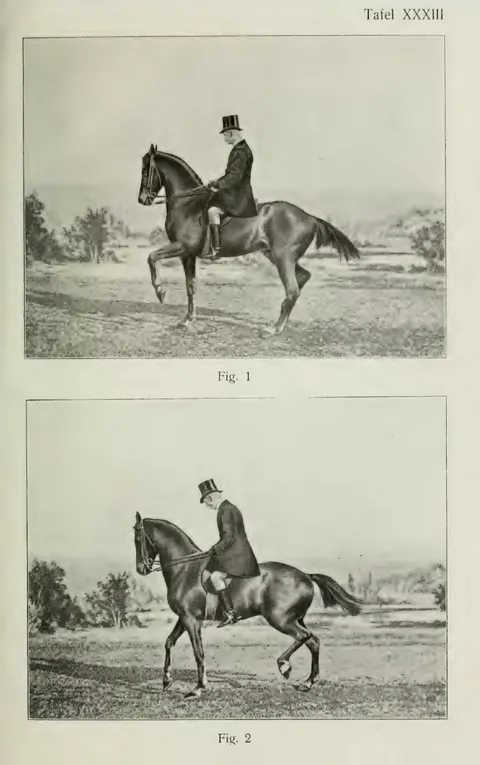 Tafel XXXIII Fig. 1 Fig. 2