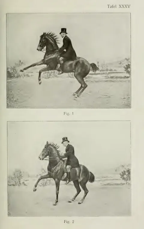 Tafel XXXV Fig. 1 Fig. 2