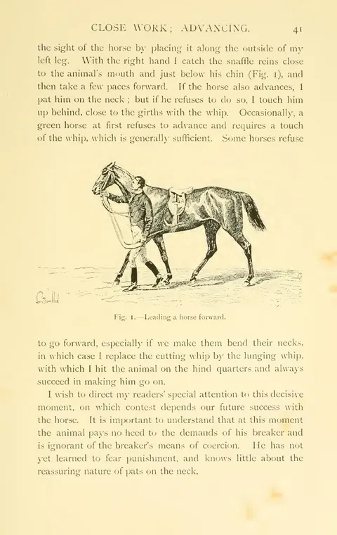 Fig. 1.—Leading a horse forward.