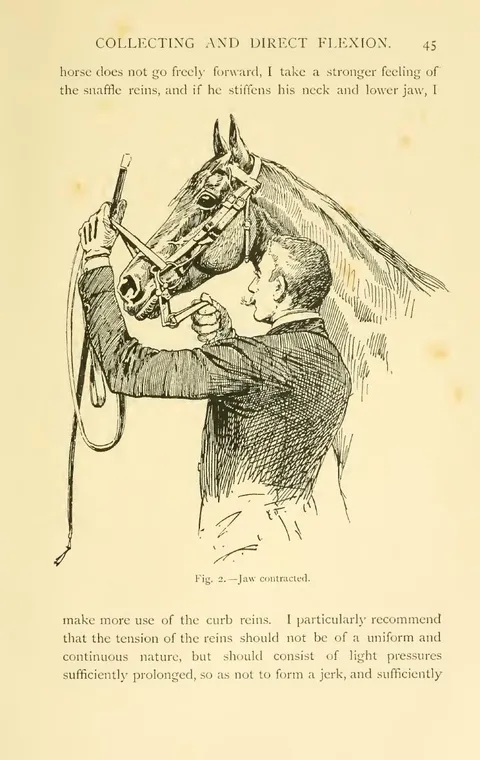 Fig. 2.—Jaw contracted.