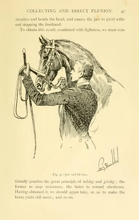 Fig. 3. — Jaw and bit free.