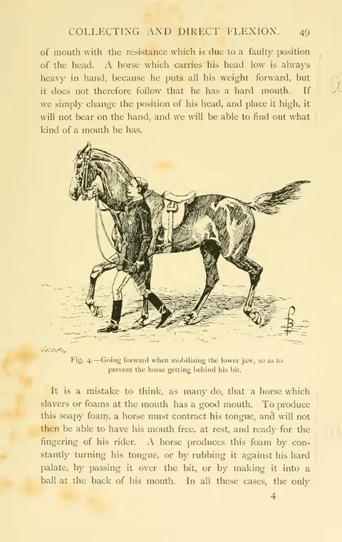 Fig. 4. — Going forward when mobilising the lower jaw, so as to prevent the horse getting behind his bit.