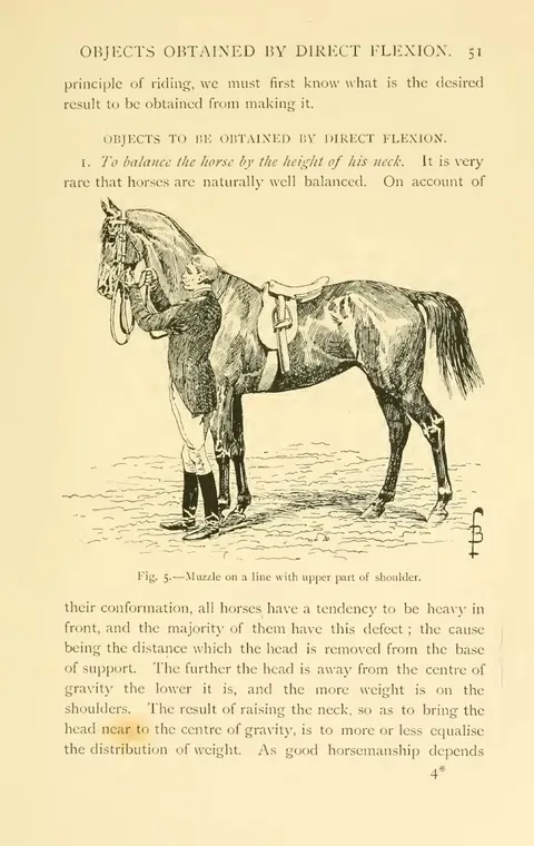 Fig. 5. — Muzzle on a line with upper part of shoulder.