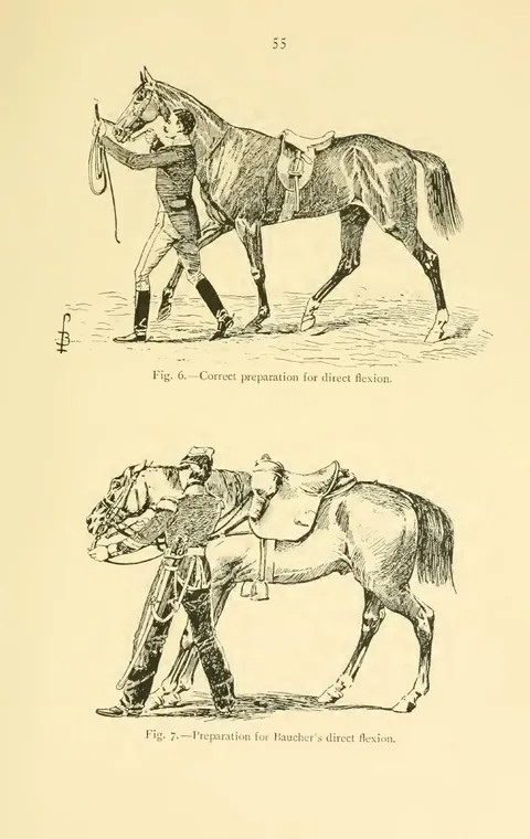 Fig. 6. — Correct preparation for direct flexion. Fig. 7. — Preparation for Baucher's direct flexion.