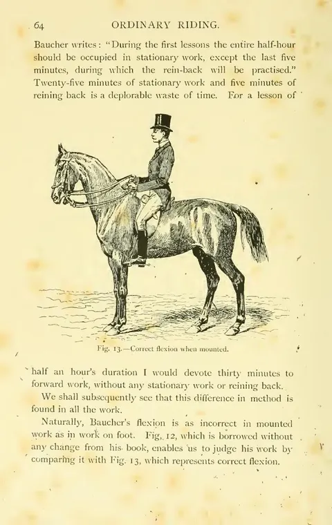 Fig. 13. — Correct flexion when mounted.
