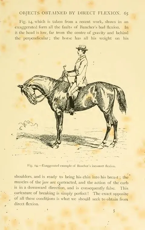 Fig. 14. — Exaggerated example of Baucher's incorrect flexion.