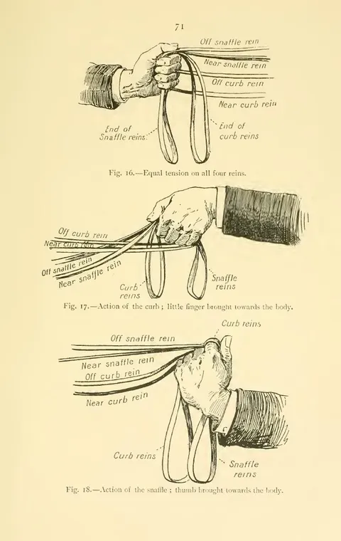 Fig. 16. — Equal tension on all four reins. Fig. 17. — Action of the curb ; little finger brought towards the body. Fig. 18. — Action of the snaffle ; thumb brought towards the body.
