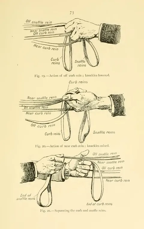 Fig. 19. — Action of off curb rein ; knuckles lowered. Fig. 20. — Action of near curb rein ; knuckles raised. Fig. 21. — Separating the curb and snaffle reins.