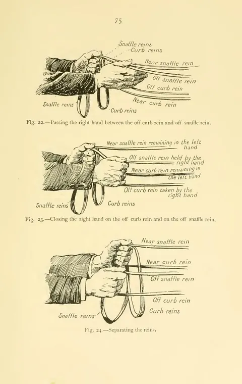 Fig. 22. — Passing the right hand between the off curb rein and off snaffle rein. Fig. 23. — Closing the right hand on the off curb rein and on the off snaffle rein. Fig. 24. — Separating the reins.