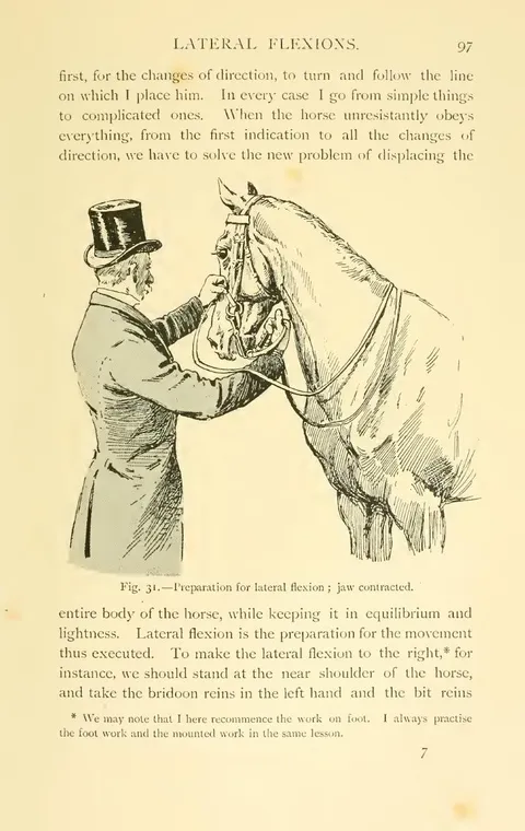 Fig. 31. — Preparation for lateral flexion ; jaw contracted.