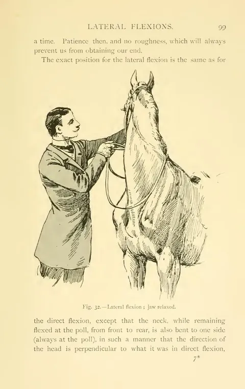 Fig. 32. — Lateral flexion ; jaw relaxed.