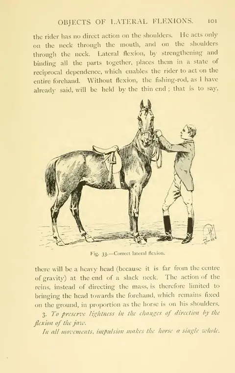 Fig. 33. — Correct lateral flexion.