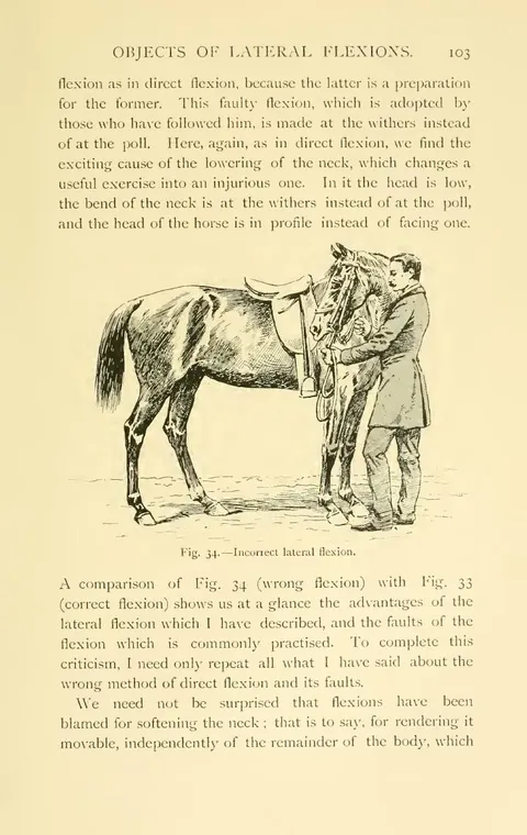 Fig. 34. — Incorrect lateral flexion.