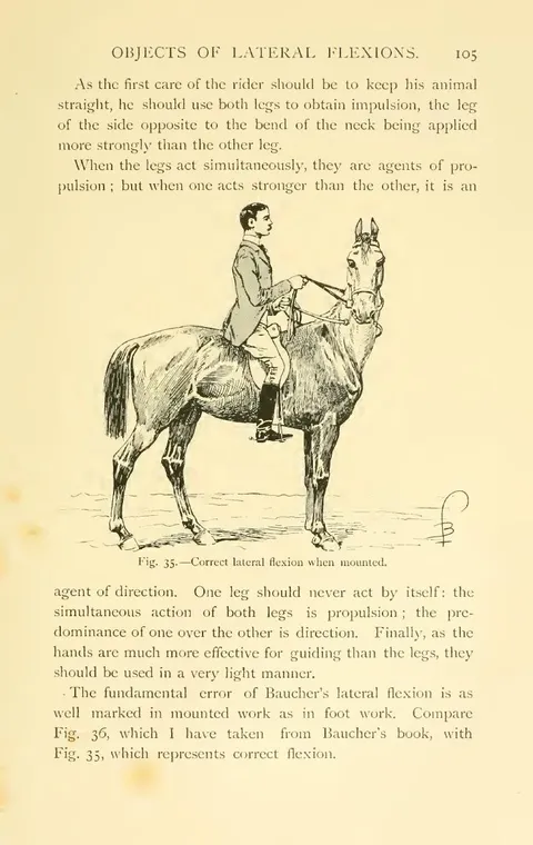 Fig. 35. — Correct lateral flexion when mounted.