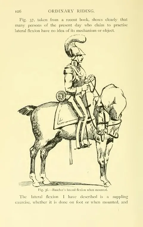 Fig. 36. — Baucher's lateral flexion when mounted.