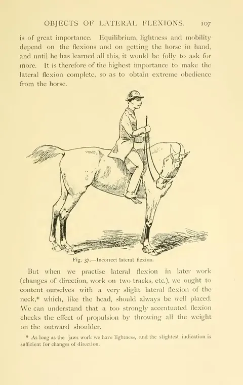 Fig. 37. — Incorrect lateral flexion.