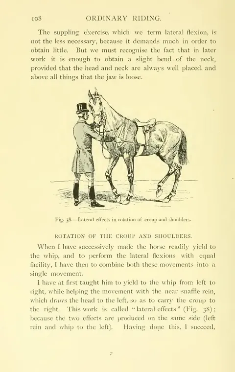 Fig. 38. — Lateral effects in rotation of croup and shoulders.