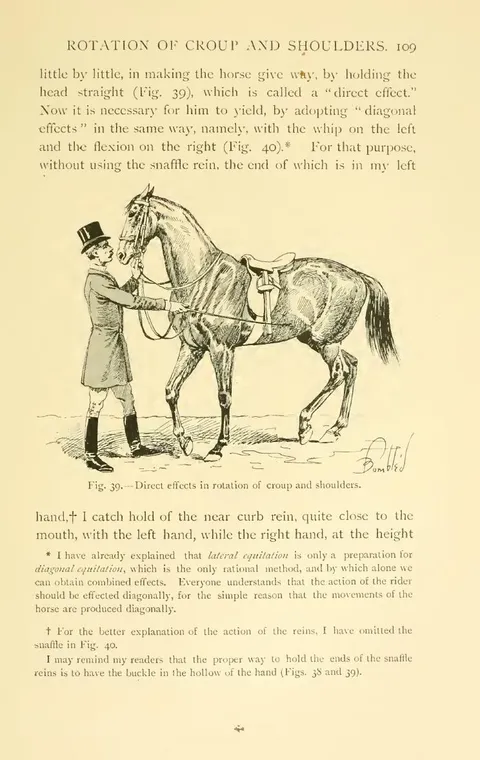 Fig. 39. — Direct effects in rotation of croup and shoulders.