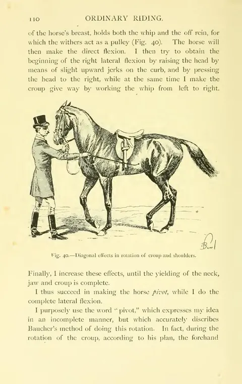 Fig. 40. — Diagonal effects in rotation of croup and shoulders.