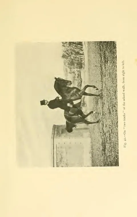 Fig. 41