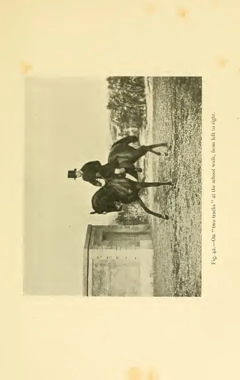 Fig. 42.—On "two tracks" at the school walk, from left to right.