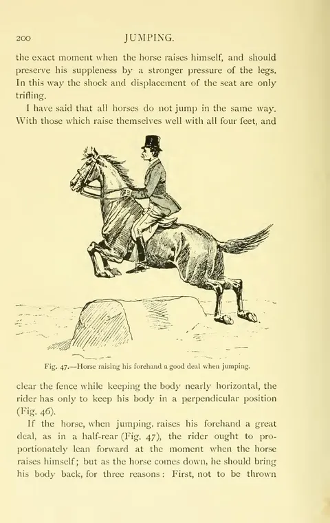 Fig. 47.—Horse raising his forehand a good deal when jumping.