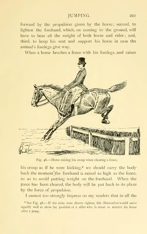 Fig. 48.—Horse raising his croup when clearing a fence.