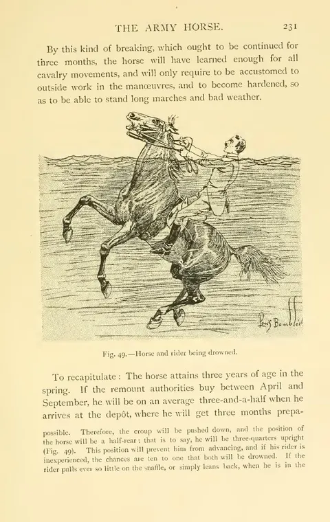Fig. 49.—Horse and rider being drowned.