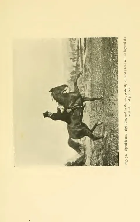 Fig. 51.—Spanish trot ; right diagonal in the air ; perfectly in hand ; head a little beyond the vertical ; and jaw bent.