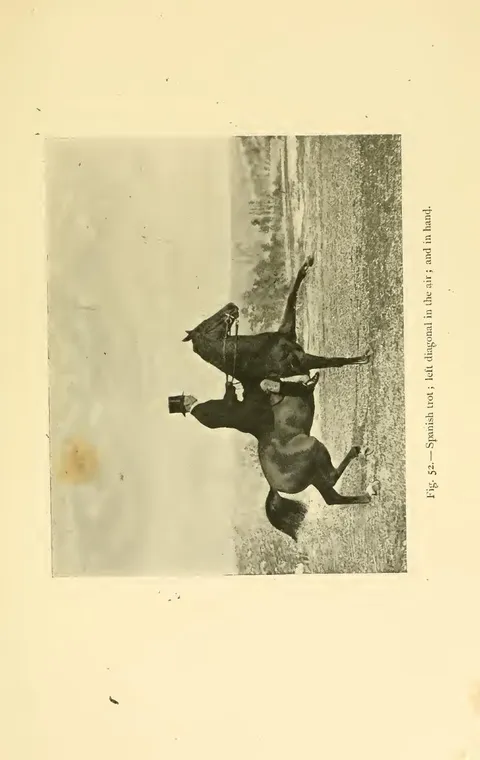 Fig. 52