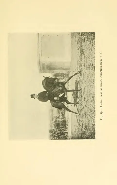 Fig. 53