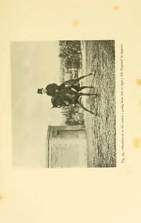Fig. 54