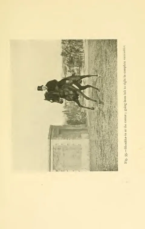 Fig. 55.—Shoulder-in at the canter ; going from left to right in complete rassembler.