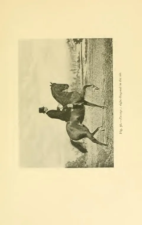 Fig. 56