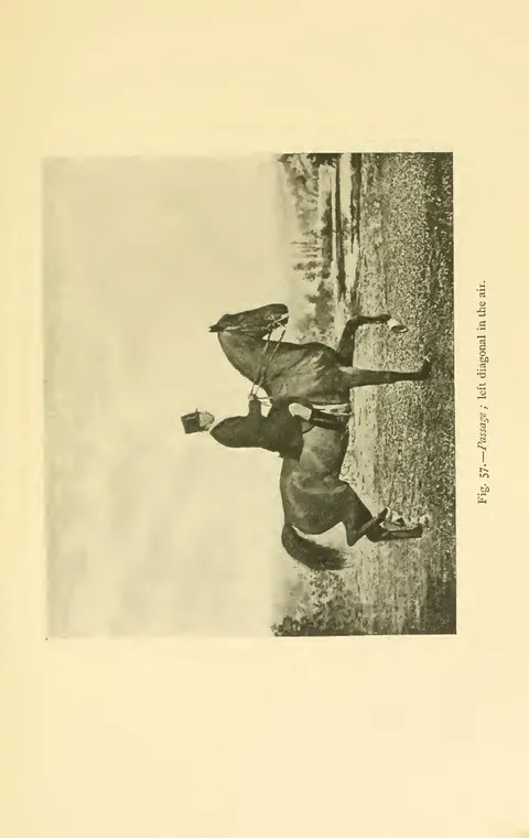 Fig. 57