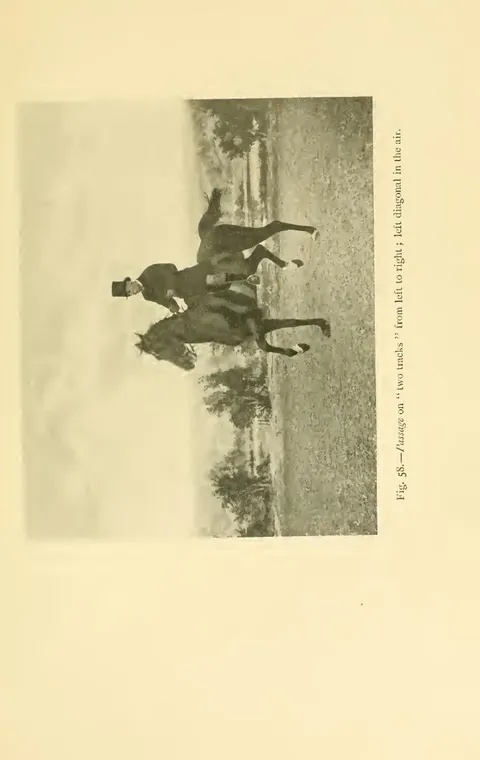 Fig. 58