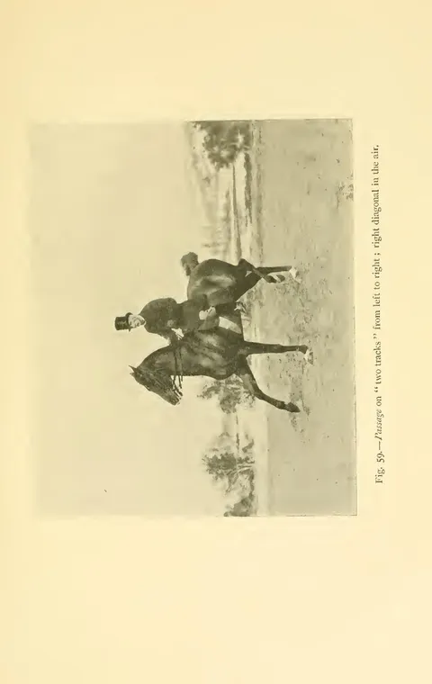 Fig. 59.—Passage on "two tracks" from left to right ; right diagonal in the air.