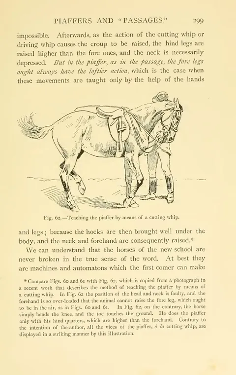 Fig. 62.—Teaching the piaffer by means of a cutting whip.