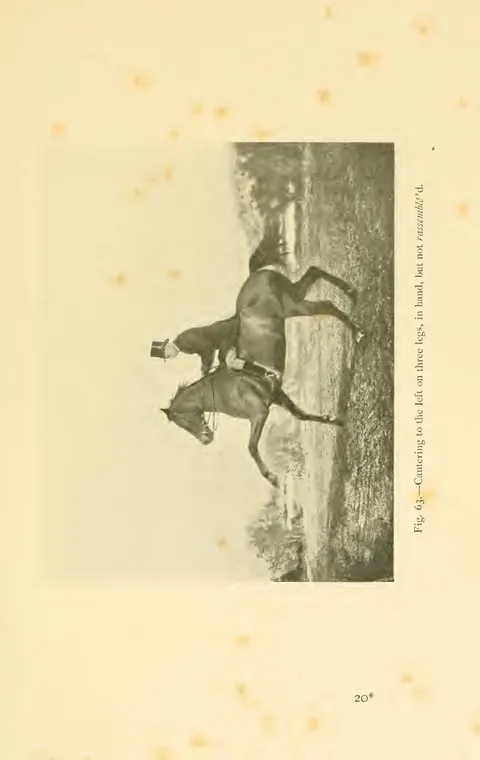 Fig. 63.—Cantering to the left on three legs, in hand, but not rassemblé'd.