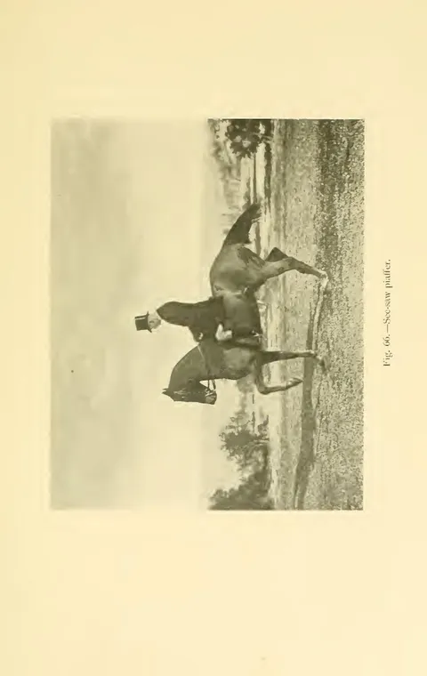 Fig. 66