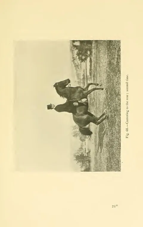 Fig. 68.—Cantering to the rear ; second time.
