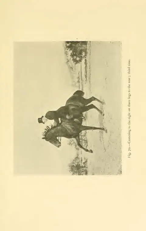 Fig. 70.—Cantering to the right on three legs to the rear ; third time.